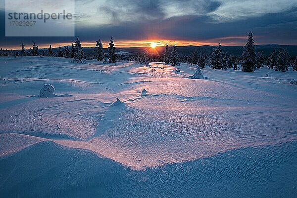 Schneebedeckte Winterlandschaft bei Sonnenuntergang  Lappland  Pallas-Yllästunturi-Nationalpark  Finnland