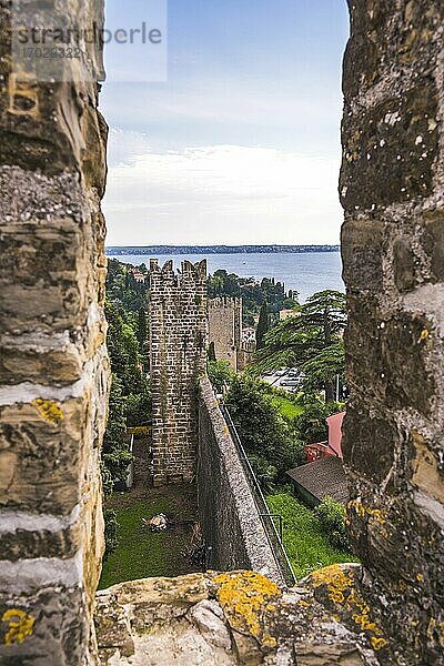 Stadtmauern von Piran  Slowenisch Istrien  Slowenien  Europa