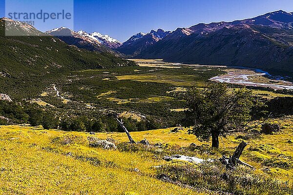 Tal bei El Chalten  der Wanderhauptstadt Patagoniens   Argentinien