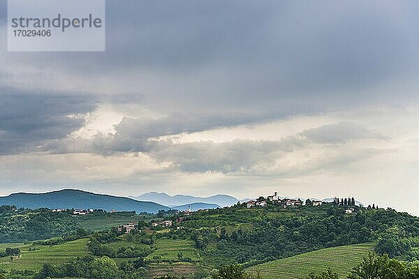 Weinberge in Goriska Brda  mit Blick auf die Chiesa di San Floriano del Collio und die auf einem Hügel gelegene Stadt Gornje Cerovo  Goriska Brda  Slowenien  Europa