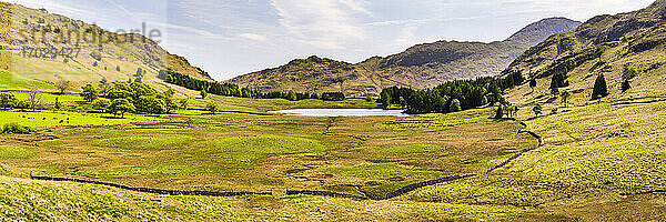 Blea Tarn  Lake District  Cumbria  England