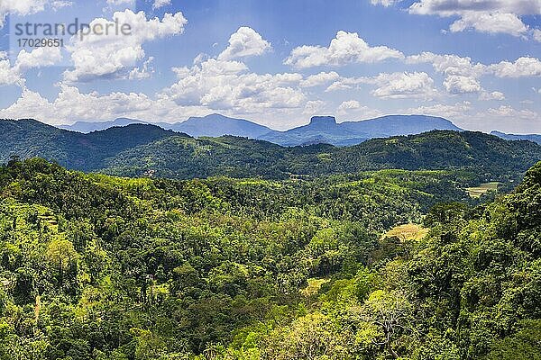 Bible Rock  in der Nähe von Kandy in der Zentralprovinz von Sri Lanka  auch bekannt als Sri Lanka Highlands oder Sri Lanka Hill Country  Asien