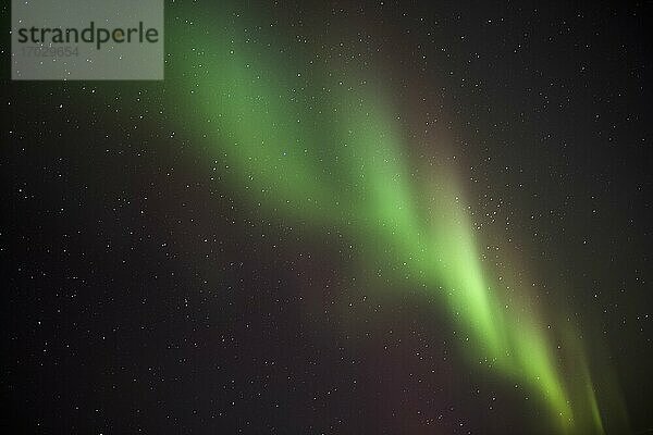 Nordlicht (Aurora Borealis) tanzt am Nachthimmel im Winter in Finnisch-Lappland  innerhalb des Polarkreises in Finnland