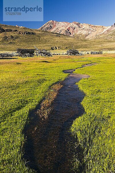 Altes Pferd und Wagen auf der Estancia La Oriental  Perito-Moreno-Nationalpark  Argentinisches Patagonien  Argentinien