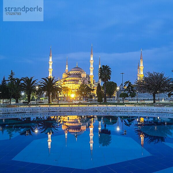 Spiegelung der Blauen Moschee bei Nacht (Sultan-Ahmed-Moschee oder Sultan-Ahmet-Camii)  Istanbul  Türkei