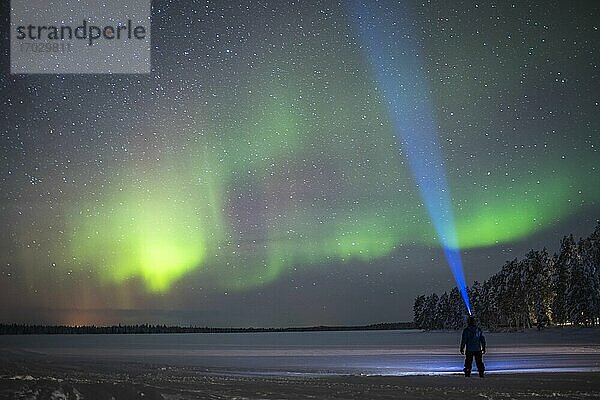 Person unter dem Nordlicht (Aurora Borealis)  das in Finnisch-Lappland innerhalb des Polarkreises in Finnland grün und violett leuchtet