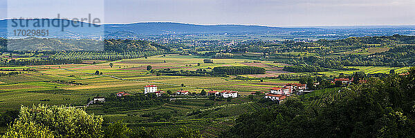 Weinregion Slowenien  Landschaft  Goriska Brda (Gorizia Hills)  Slowenien  Europa