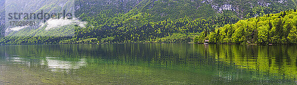 Panoramafoto der Spiegelungen des Bohinjer Sees  Nationalpark Triglav  Julische Alpen  Slowenien  Europa