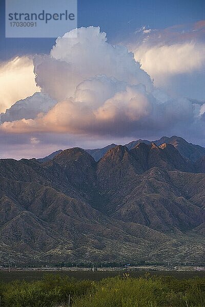 Berge um Mendoza  Provinz Mendoza  Argentinien