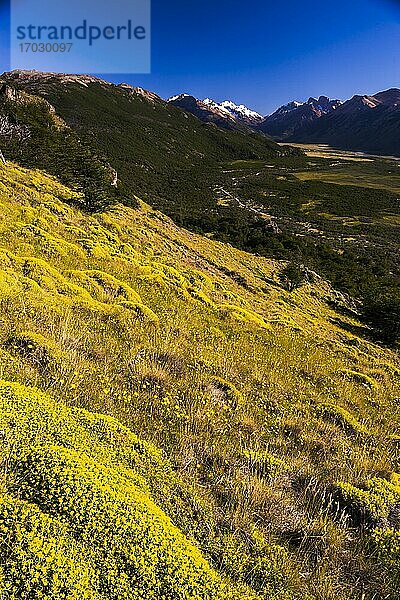 Tal bei El Chalten  der Wanderhauptstadt Patagoniens   Argentinien