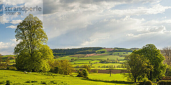 Winchcombe and the Sudely Valley  The Cotswolds  Gloucestershire  England  Vereinigtes Königreich  Europa