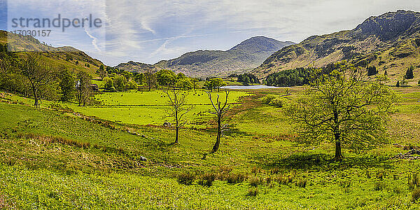 Blea Tarn  Lake District  Cumbria  England