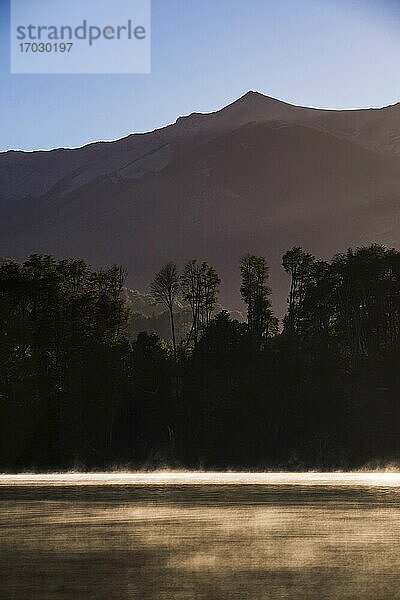 Nebelwald bei Sonnenaufgang am Nahuel Huapi See  Villa la Angostura  Neuquen  Patagonien  Argentinien