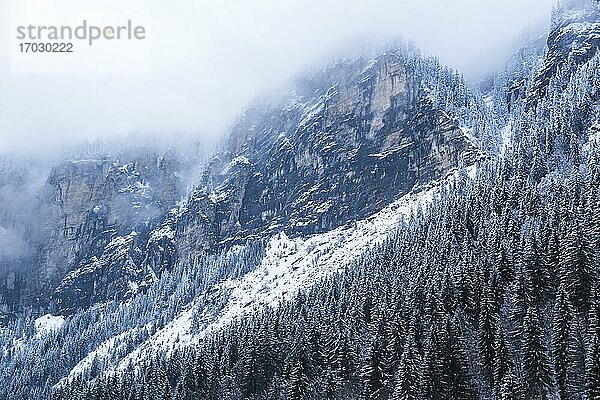 Winterlandschaft  Skigebiet Avoriaz  Port du Soleil  Auvergne Rhone Alpes  Alpen  Frankreich