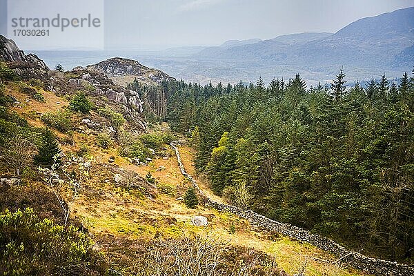 Ausläufer des Cnicht  Snowdonia-Nationalpark  Nordwales