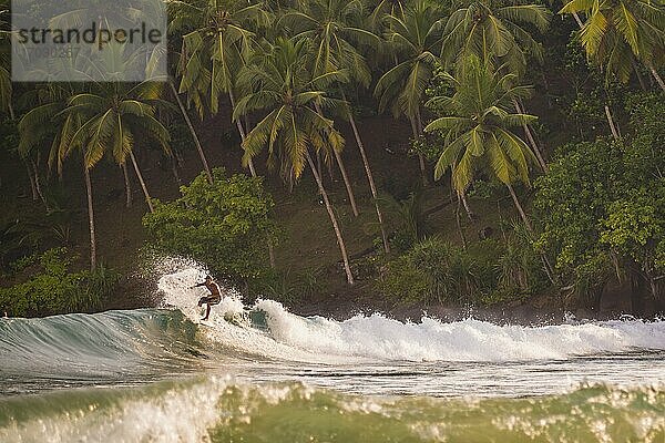 Mirissa Beach  Surfer beim Sonnenuntergang  Südküste von Sri Lanka  Südprovinz  Asien