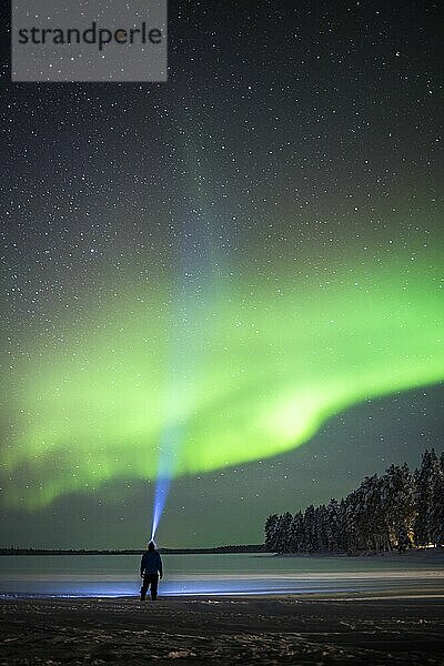 Person unter dem Nordlicht (Aurora Borealis)  einem farbenprächtigen grün-violetten Schauspiel in Finnisch-Lappland  innerhalb des Polarkreises in Finnland