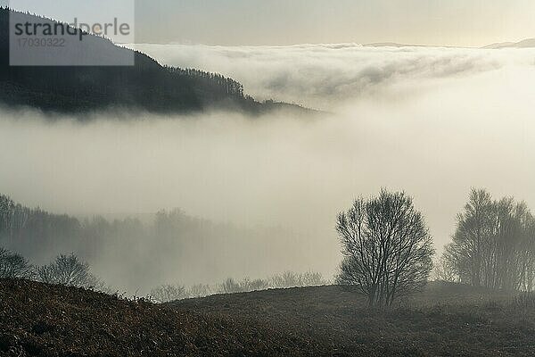 Neblige Berglandschaft vom Ben Lomond im Loch Lomond and the Trossachs National Park  Schottische Highlands  Schottland