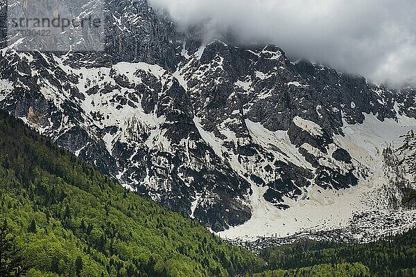 Slowenien. Juilaner Alpen vor Kranjska Gora  Triglav-Nationalpark  Oberkrain  Slowenien