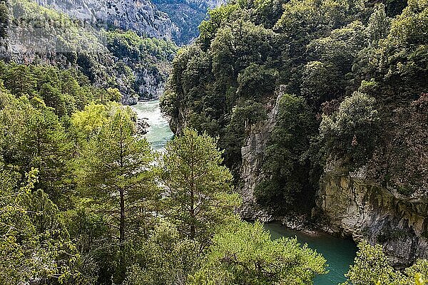 Verdon-Schlucht (Grand canyon du Verdon)  Alpes de Haute Provence  Südfrankreich