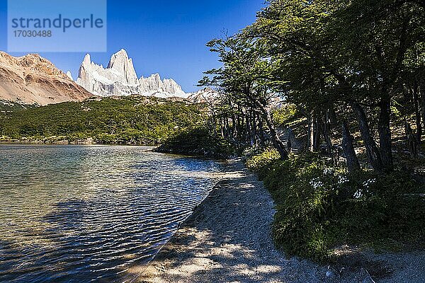 Lago Capri (Capri-See) mit dem Berg Fitz Roy (alias Cerro Chalten) im Hintergrund  Nationalpark Los Glaciares  El Chalten  Patagonien  Argentinien