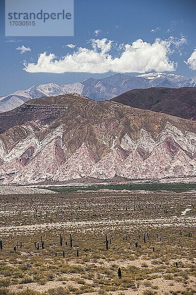 Bunte Felsen im Kaktus-Nationalpark (Parque Nacional Los Cardones)  Cachi-Tal  Calchaqui-Täler  Provinz Salta  Nordargentinien