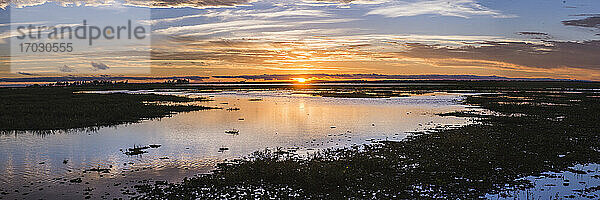 Sonnenuntergang auf der Estancia San Juan de Poriahu  Ibera Wetlands  ein Sumpfgebiet in der Provinz Corrientes  Argentinien
