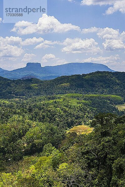 Bible Rock  in der Nähe von Kandy in der Zentralprovinz von Sri Lanka  auch bekannt als Sri Lanka Highlands oder Sri Lanka Hill Country  Asien