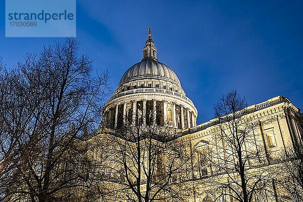 St. Pauls Cathedral bei Nacht  City of London  London  England