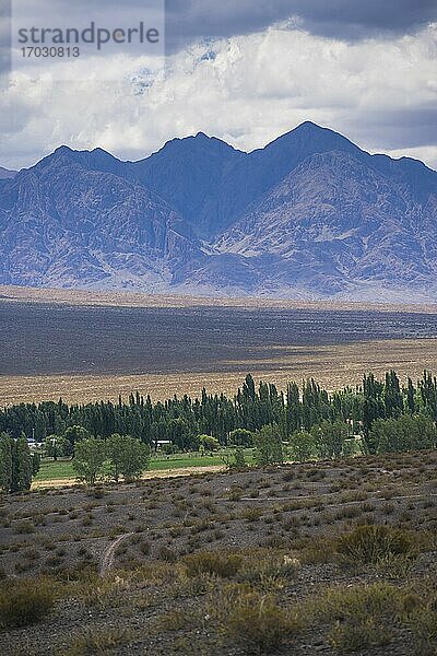 Andengebirge  Uspallata  Provinz Mendoza  Argentinien