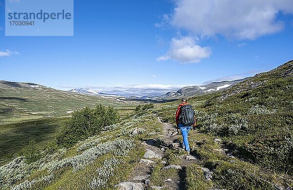 Wanderin auf einem Weg durch die Tundra  karge Landschaft  Dovrefjell Nationalpark  Oppdal  Norwegen  Europa