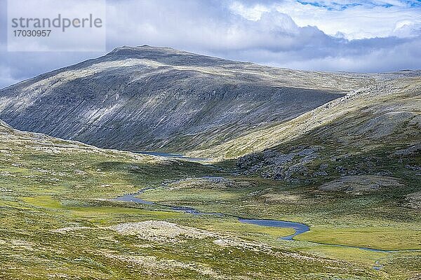 Fluss in der Tundra  karge Landschaft  hinten Berg  Dovrefjell Nationalpark  Oppdal  Norwegen  Europa