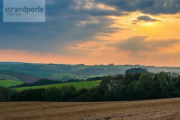 Sonnenuntergang auf den Feldern  Berry Pomeroy Village  Devon  England  Großbritannien  Europa