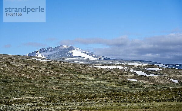 Tundra  karge Landschaft  Dovrefjell Nationalpark  Oppdal  Norwegen  Europa