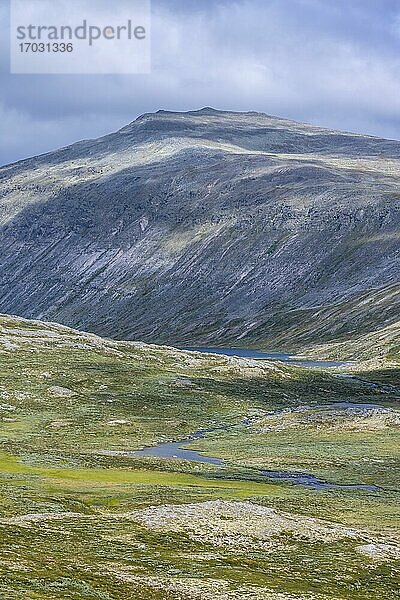 Fluss in der Tundra  karge Landschaft  hinten Berg  Dovrefjell Nationalpark  Oppdal  Norwegen  Europa