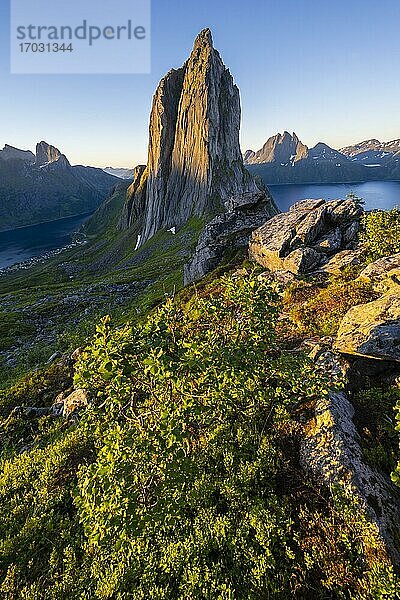 Morgenstimmung  steiler Berg Segla  Fjord Mefjorden mit Bergen  Insel Senja  Troms  Norwegen  Europa
