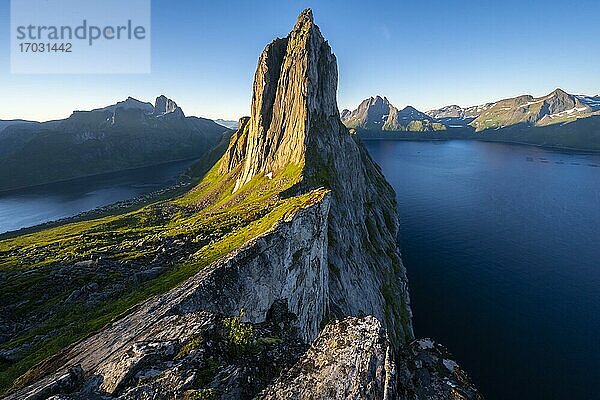 Morgenstimmung  steiler Berg Segla  Fjord Mefjorden mit Bergen  Insel Senja  Troms  Norwegen  Europa