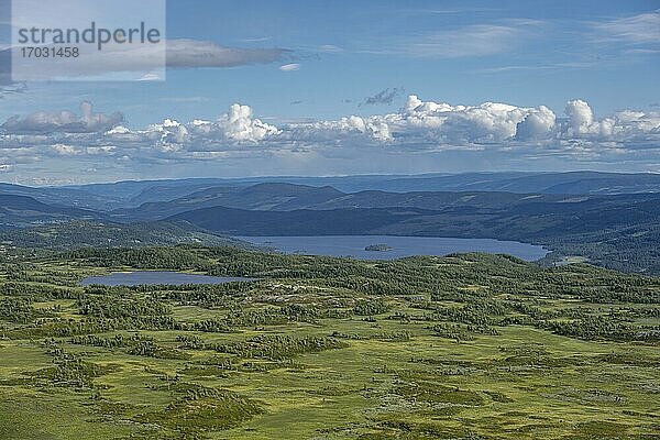 Tundra  Hügellandschaft mit Seen  Øystre Slidre  Jotunheimen Nationalpark  Norwege