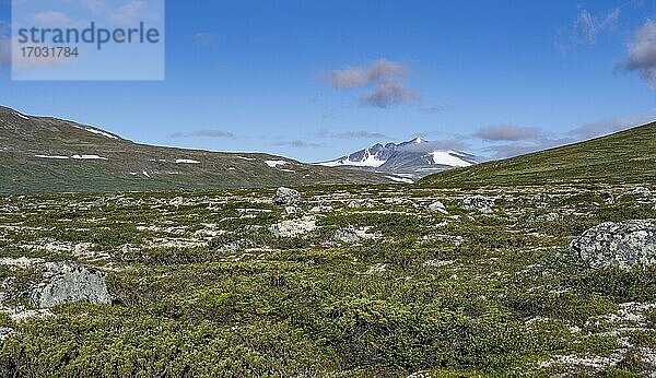 Fjell mit Berg Snøhetta  Dovrefjell-Sunndalsfjella-Nationalpark  Norwegen  Europa