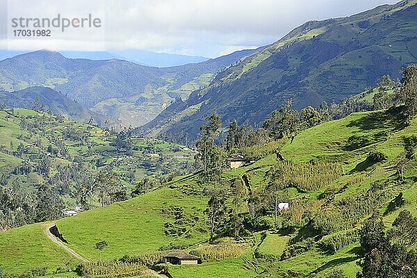 Hütten in grüner Hügellandschaft in der Nähe von Vilcabamba  Provinz Loja  Ecuador  Südamerika