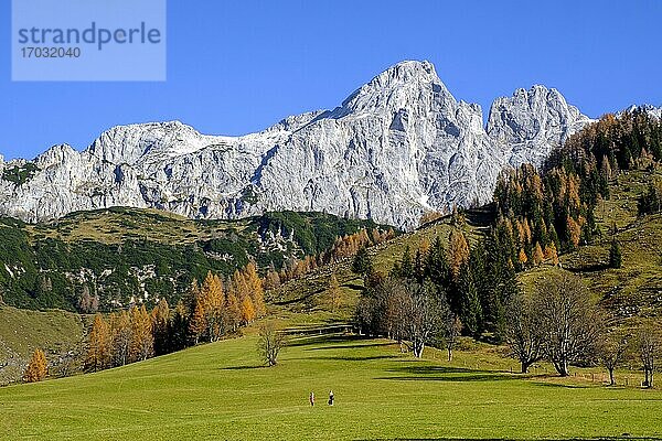 Dachstein von Hinterwinkl  Gosaukamm  Dachsteinmassiv  Filzmoos  Land Salzburg  Österreich  Europa