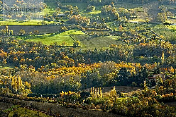 Herbstlandschaft  Auvergne-Rhone-Alpes  Frankreich  Europa