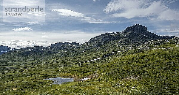 Tundra  karge Berglandschaft mir Berg Bitihorn  Øystre Slidre  Jotunheimen Nationalpark  Norwegen  Europa