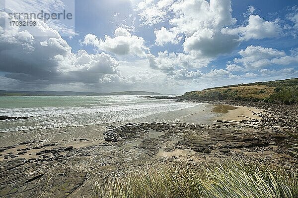 Ausblick auf Sandstrand und Meer in der Curio Bay  Wolkenhimmel  Curio Bay  Southland  Südinsel  Neuseeland  Ozeanien