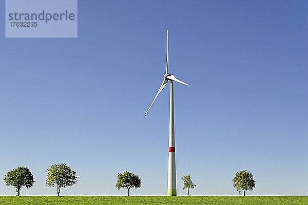 Windkraftwerk an einem grünen Getreidefeld mit Bäumen  blauer Himmel  Nordrhein-Westfalen  Deutschland  Europa