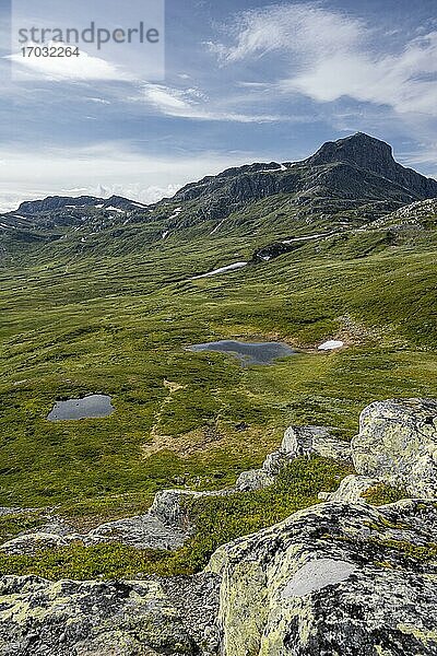 Tundra  karge Berglandschaft mir Berg Bitihorn  Øystre Slidre  Jotunheimen Nationalpark  Norwegen  Europa