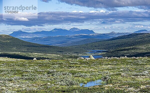 Seeen in der Tundra  karge Landschaft  hinten Berge  Dovrefjell Nationalpark  Oppdal  Norwegen  Europa