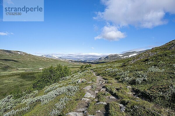 Wanderweg im Fjell mit Bergen  hinten Berg Snøhetta  Dovrefjell-Sunndalsfjella-Nationalpark  Norwegen  Europa