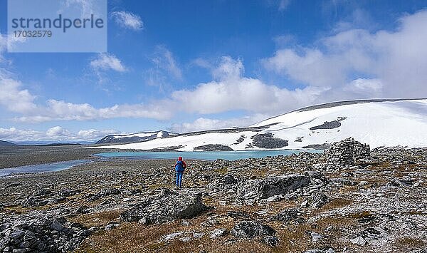 Tundra  karge Landschaft  Wanderin auf Wanderung zum Berg Snøhetta  Mauerreste einer alten Steinhütte  Dovrefjell Nationalpark  Oppdal  Norwegen  Europa