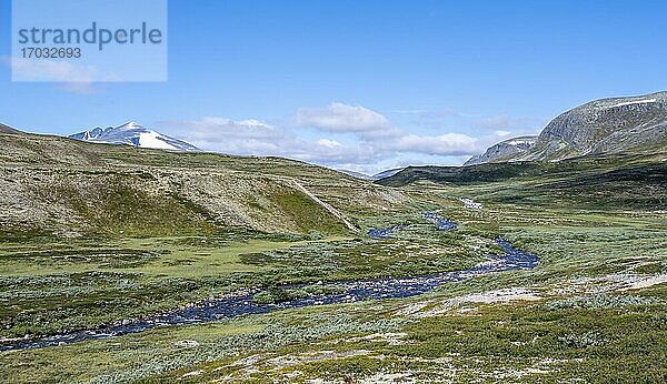 Fluss in der Tundra  karge Landschaft  hinten Berg Snøhetta  Dovrefjell Nationalpark  Oppdal  Norwegen  Europa